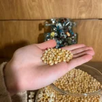 Сладкие кукурузные зерна для приготовления поп-корна в автоматах