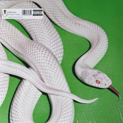 Виниловая пластинка Deftones ‎– Private Music LP Clear