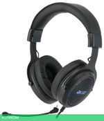 Наушники Acer AHW120 черный (ZL.HDSCC.01C)
