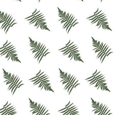 Листья лесного папоротника