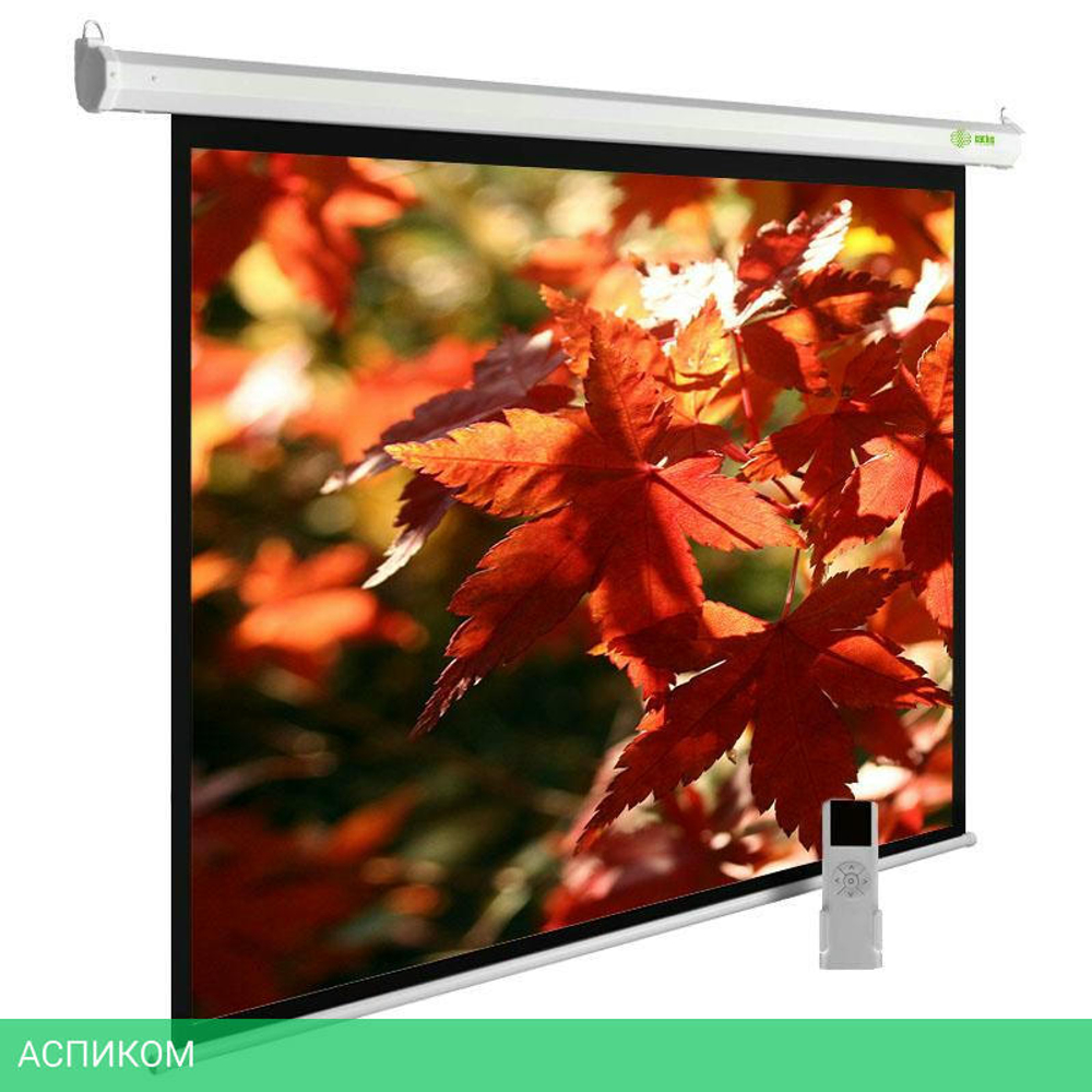 Проекционный экран Cactus SIlverMotoExpert (CS-PSSME-200X150-WT)