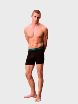Мужские трусы боксеры-брифы Calvin Klein Cotton Classics 5-Pack Boxer Brief Black Multi Green