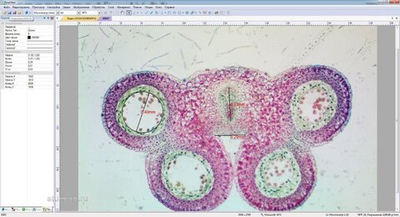 Цифровая окулярная камера для микроскопов ToupTek ToupCam SCMOS00350KPA