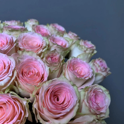 Букет 31 розовая роза (э)