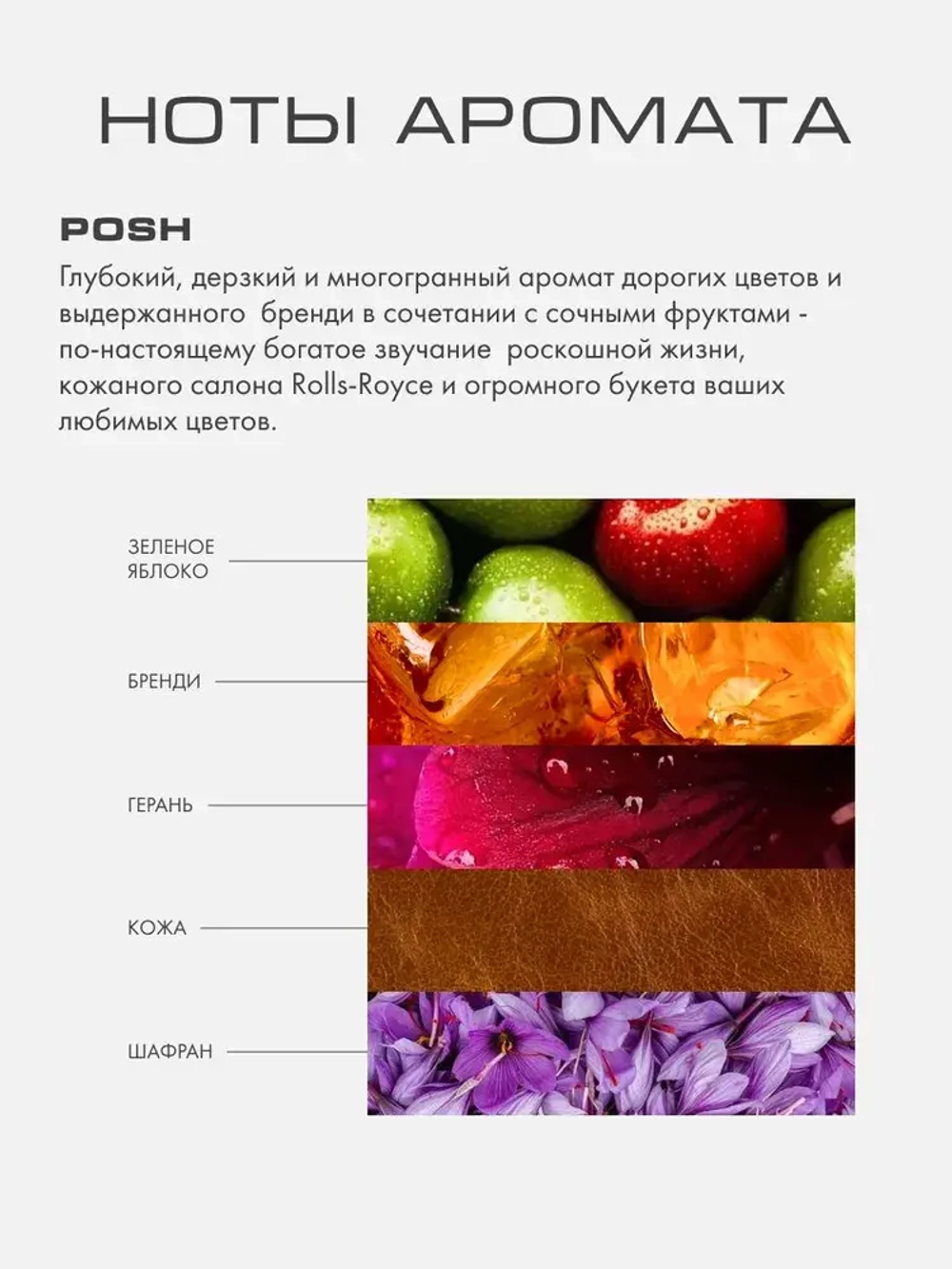 Набор подарочный Лосьон для тела и Лосьон для волос, POSH