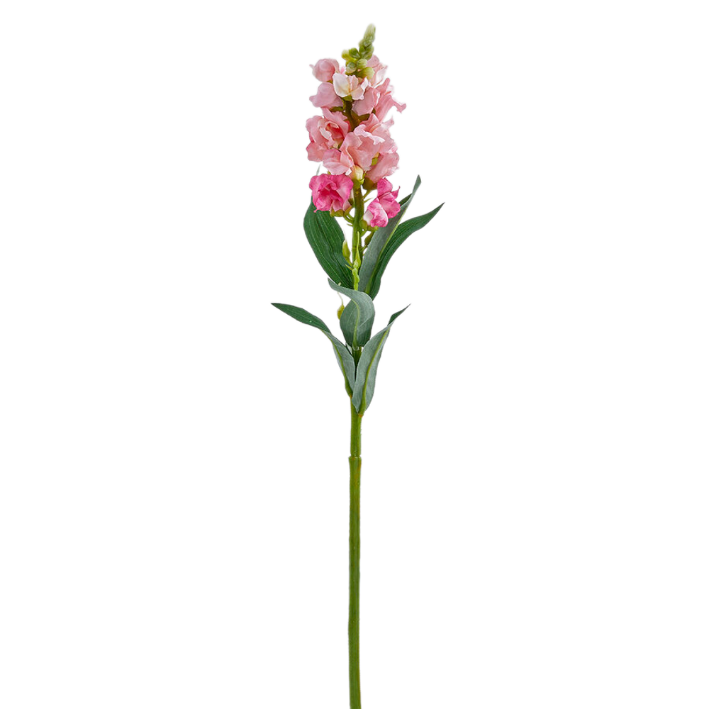 Львиный зев 59 см