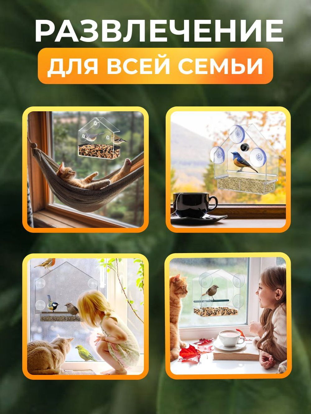 Кормушка для птиц на окно, домик для птиц