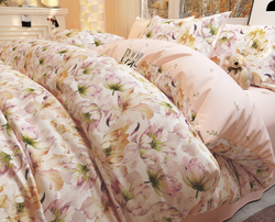 Постельное белье СайлиД B-501 сатин