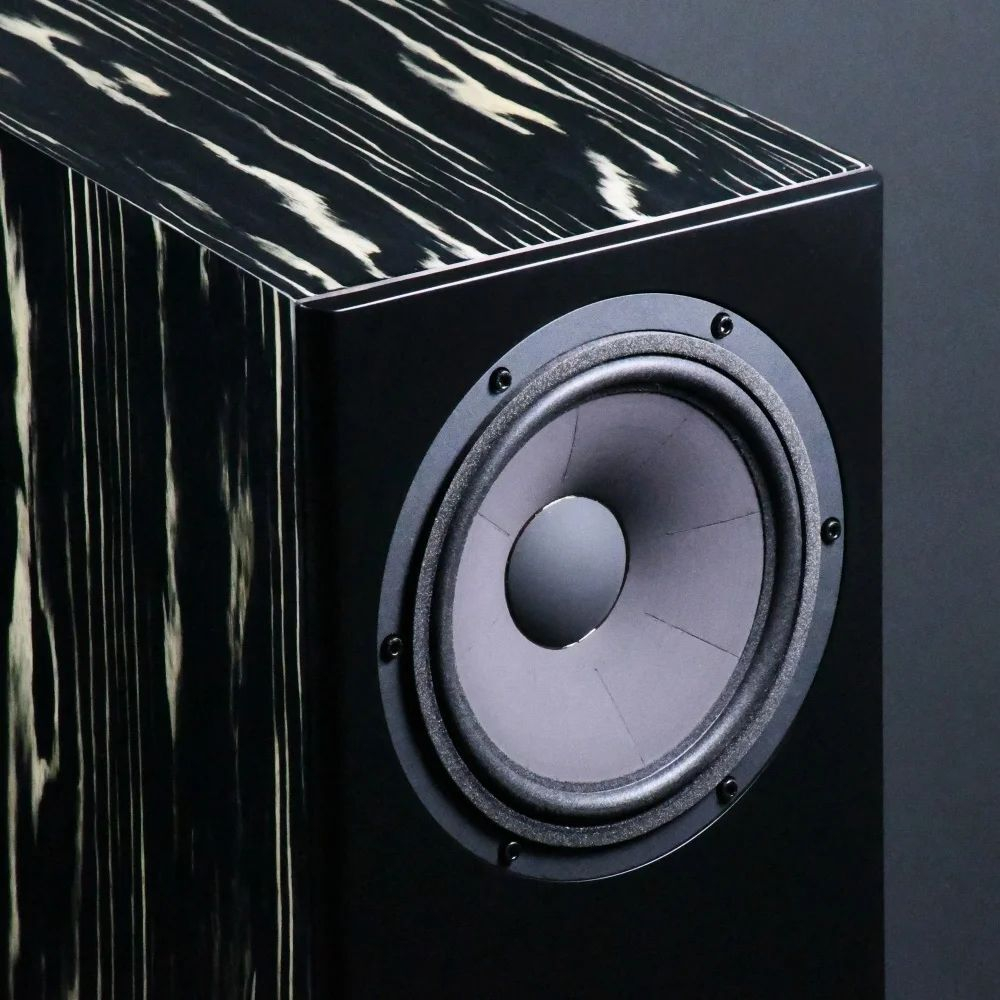 Полочная акустика Davis Acoustics MV One Master