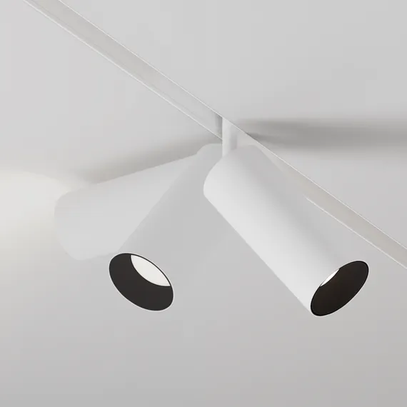 Трековый светильник Фокус / Focus Led Exility 2700-6000K 20Вт 24° Dim Smart Technical tr032-4-20w3k-s-ds-w