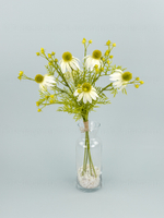 Букет Эхинацея