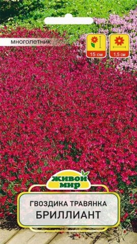 Гвoздикa травянка "ЖМ. Бpиллиaнт" 0,2г., Польша.