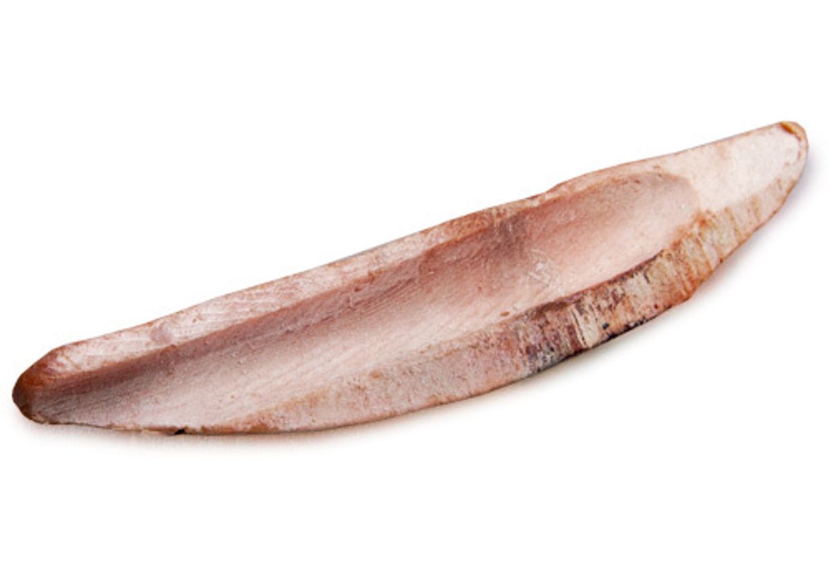 Филе белого тунца Альбакор~400г