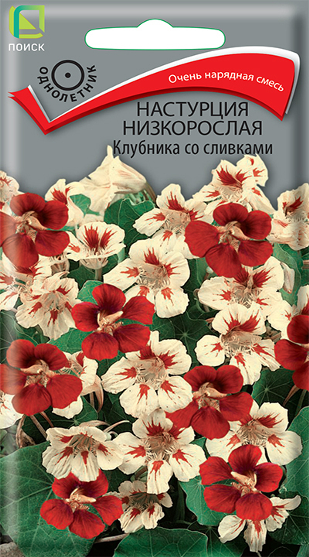Настурция низкорослая Клубника со сливками