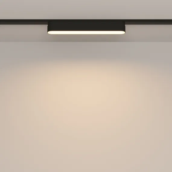 Трековый светильник Базис / Basis Radity 3000K 12Вт 120° Technical tr080-1-12w3k-b