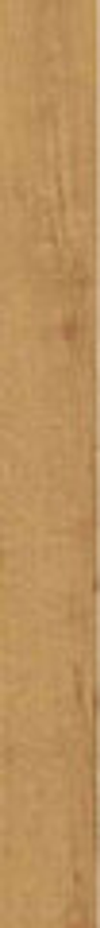 Porcelanosa Chelsea Camel 19.3x180