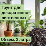 Грунт для Декоративно-Лиственных растений 2 литра ,2 литра грунта
