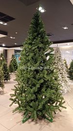 Большая елка «Рублевская» (пвх) 5 м