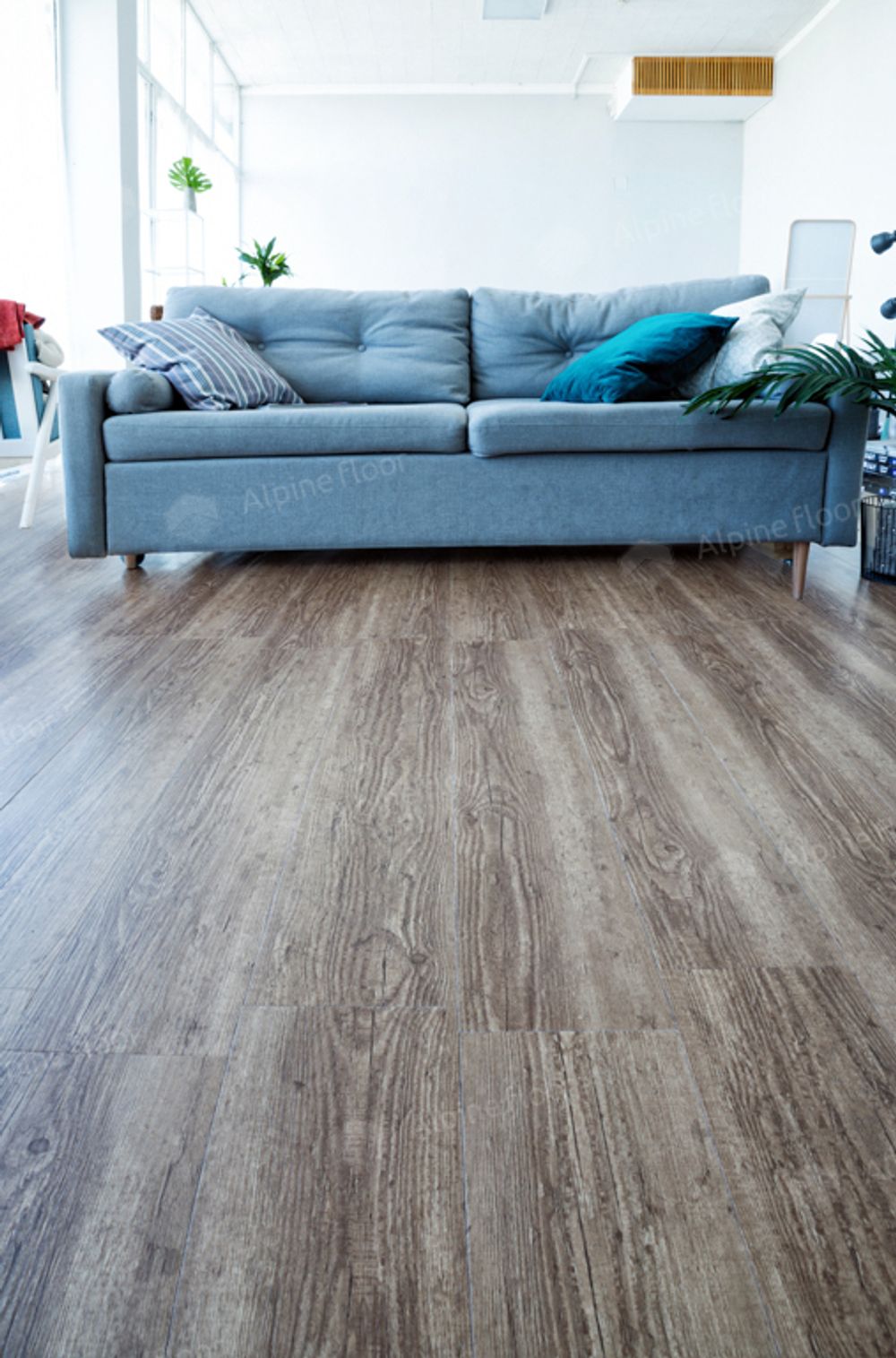 Classic Клен, 2,23 м²