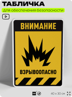 Табличка для обеспечения безопасности "Внимание взрывоопасно", для производства, предприятия, организаций, 40х30 см, Silver Plane x Айдентика Технолоджи