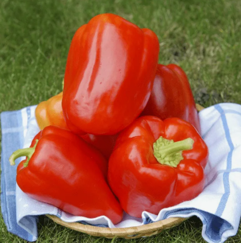 Перец Альянс