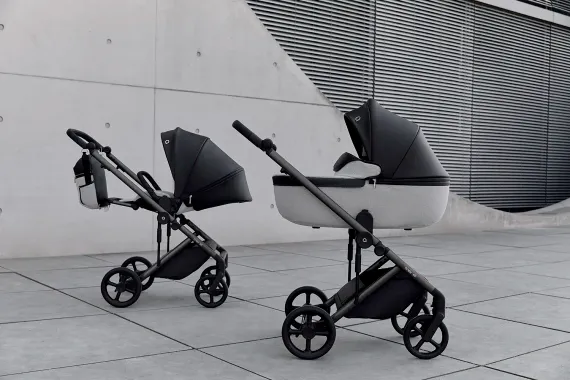 Коляска ANEX Eli 2 в 1 No.5