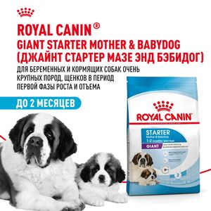 Сухой корм Royal Canin Giant Starter для щенков очень крупных размеров до 2 месяцев, беременных и кормящих сук