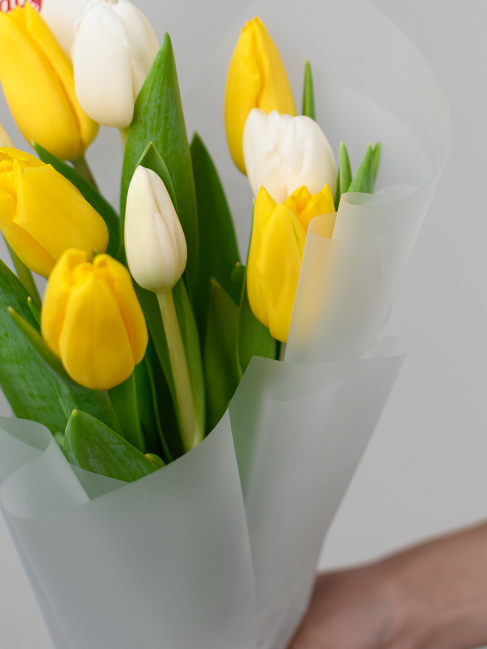 Тюльпаны микс