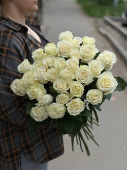 Белая роза сорт «Мондиаль» (Эквадор)