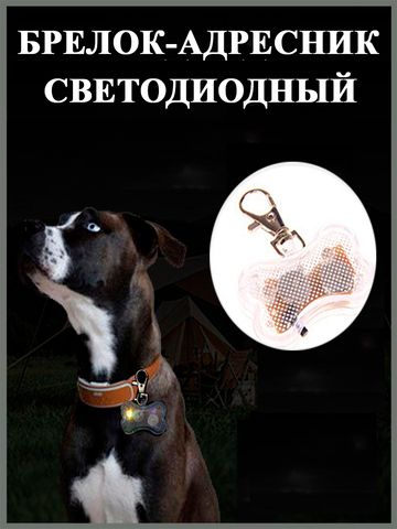 Светодиодный брелок-адресник для собак Косточка, цвет белый