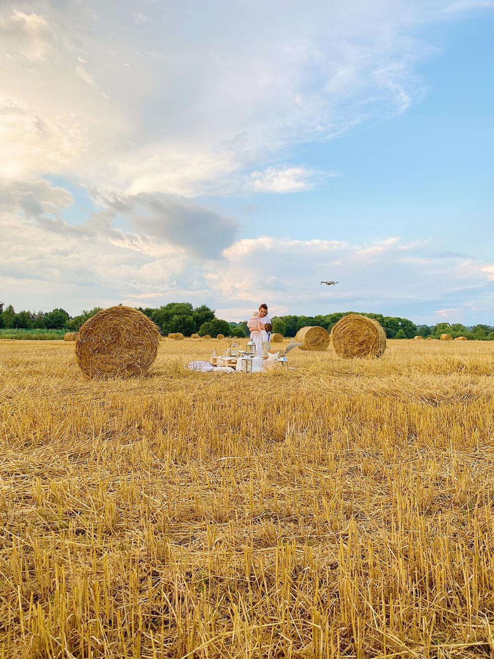 Golden Field