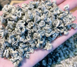 740003 Чай зеленый  "Сэнчжун, Дань Я Сюэ Ло (Снежная Улитка, отдельная почка)" №240