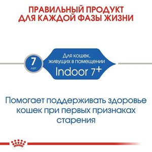 Сухой корм Royal Canin Indoor +7 для стареющих кошек, живущих в помещении