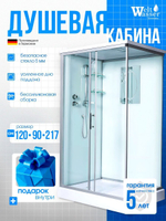 Душевая кабина WeltWasser  WW500 LAINE 1212 120х90 см,  прозрачное стекло, поддон низкий, крыша