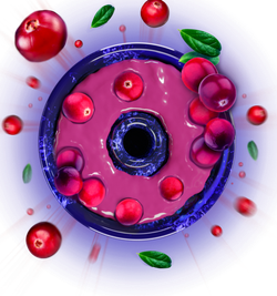 Space Smoke Basic - Cranberry Strike (125г)