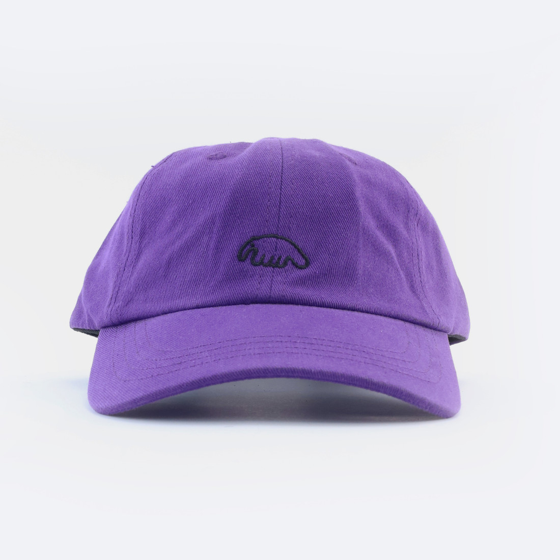 Кепка Anteater 6Panel (violet)