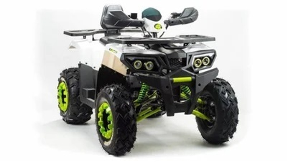Квадроцикл MOTOLAND 200 WILD TRACK LUX ( БАЛАНС. ВАЛ) (2021 Г.)