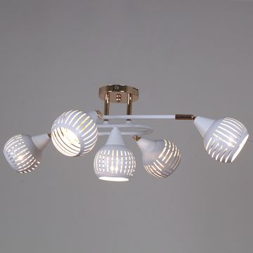 70059-3.3-05 FG+WH светильник потолочный