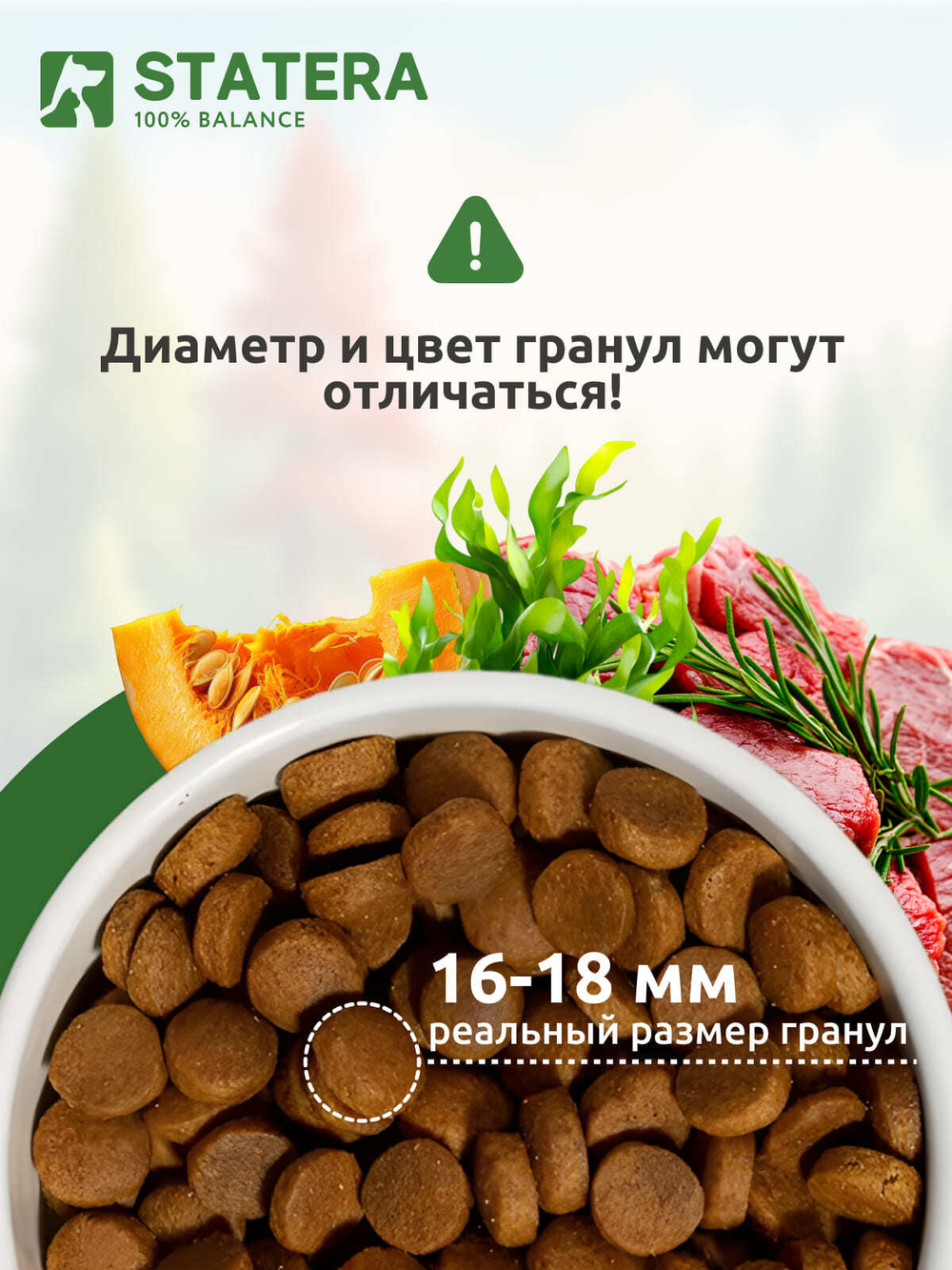 STATERA (Статера) Сухой корм для для взрослых собак средних и крупных пород с ягненком, 15 кг