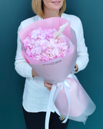 Гортензия розовая,1шт(00095)