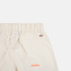 Брюки мужские Dickies Fishersville Pant