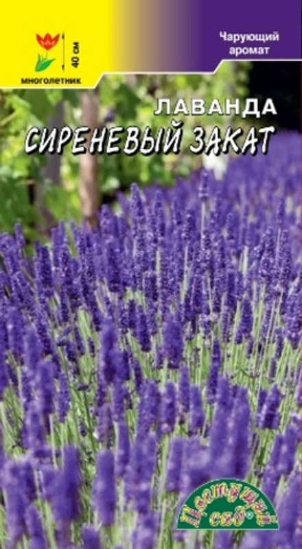 Лаванда Сиреневый закат 0,1г Ц ЦС