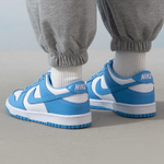 Nike Dunk Low UNC GS