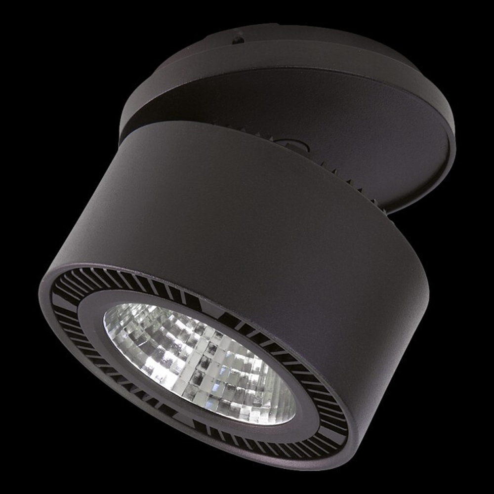 Спот Lightstar 214807