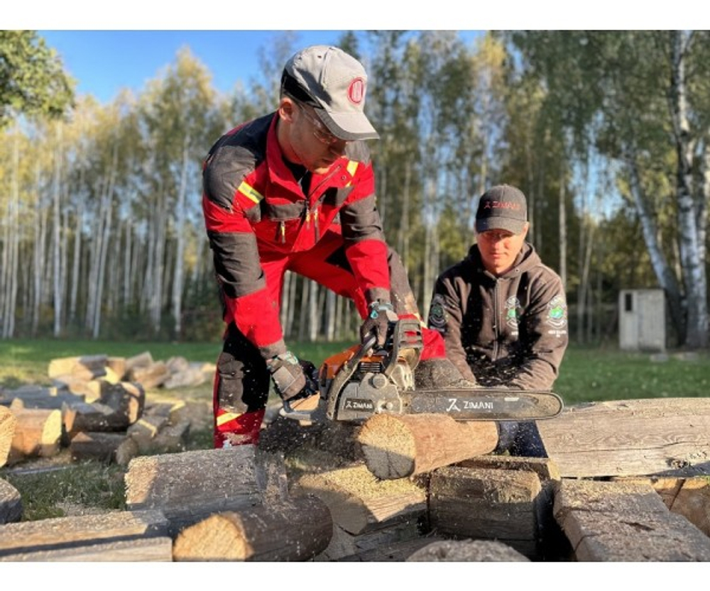 Бензопила ZIMANI 450