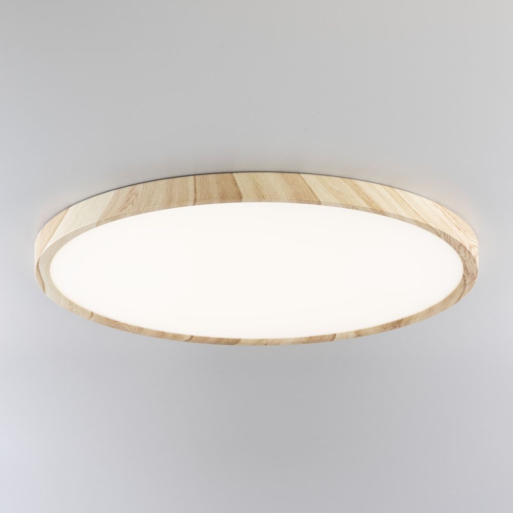 Citilux БейсикCL738322V LED Светильник накладной Клён