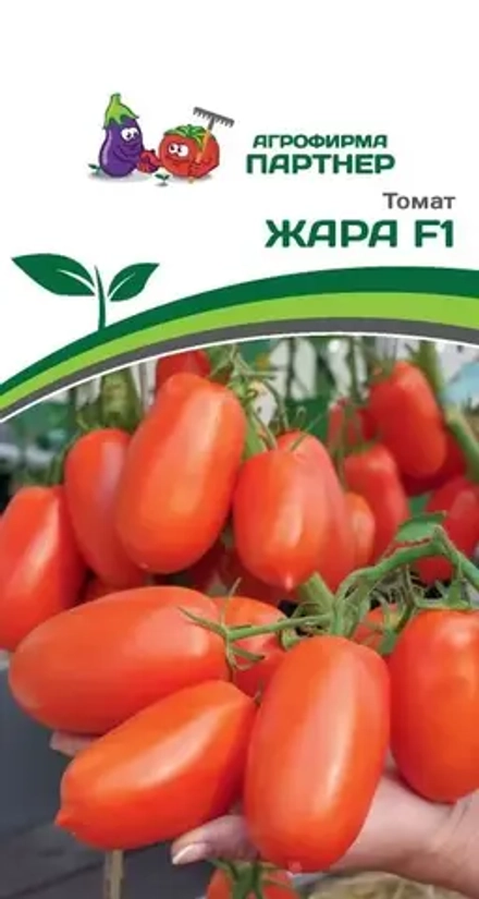 Томат Жара