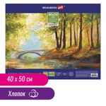 Холст на картоне BRAUBERG ART CLASSIC, 40*50см, грунтованный, 100% хлопок, мелкое зерно, 190622