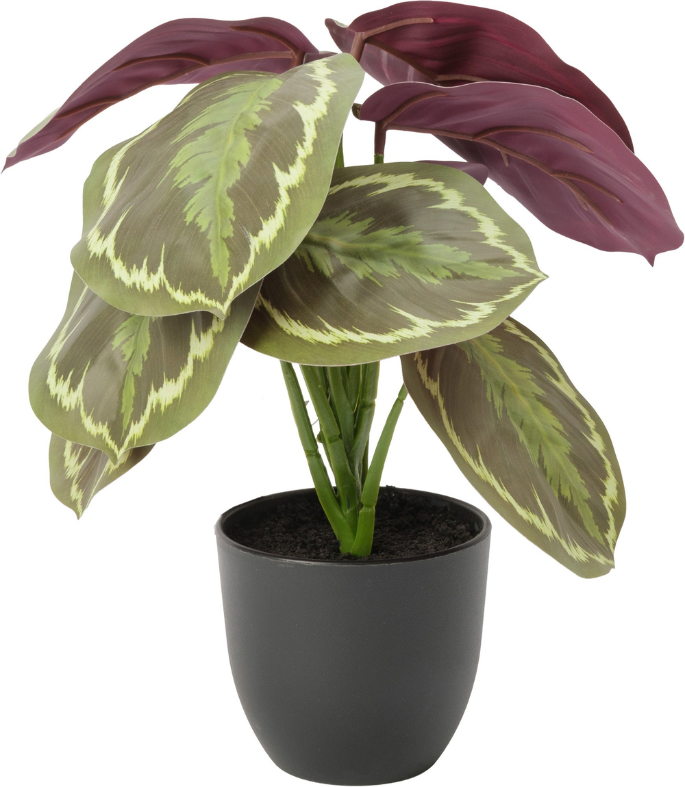 Растение искусственное Калатея 29 см DIY-SY011