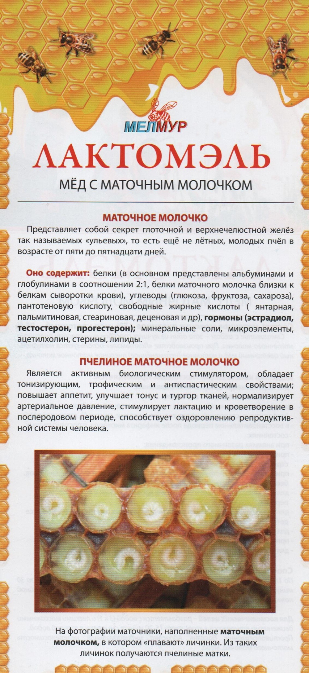 Маточное молочко пчелиное МелМур, адсорбированное 25гр.
